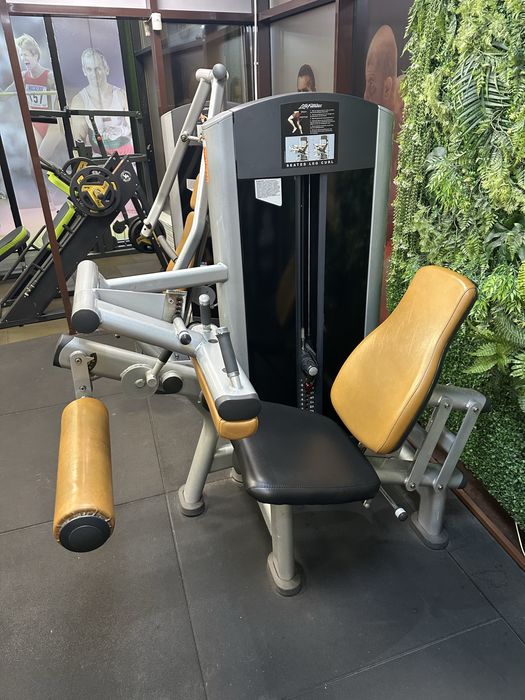 Предно и задно бедро Life Fitness