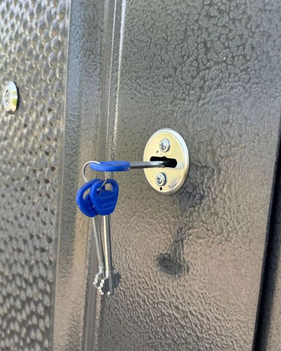 Входные металлические двери.Железные двери. Темир ешик