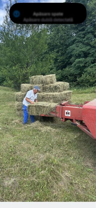 Baloti si fân calitate foarte bună