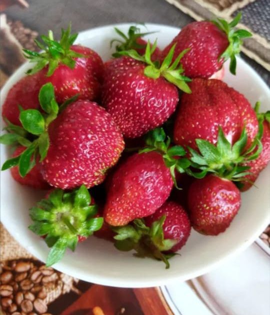 Малина, клубника рассада