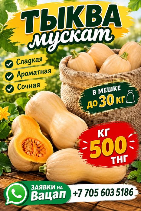 Тыква продам домашняя