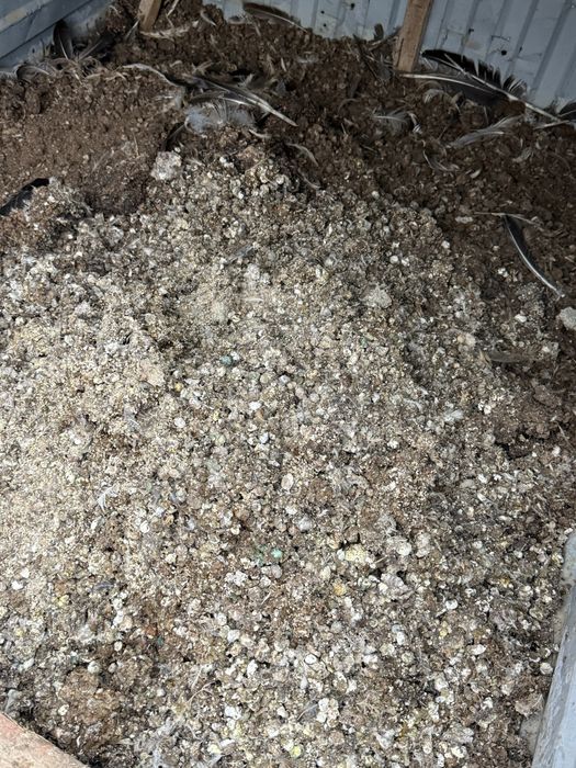 Перепелиный помёт