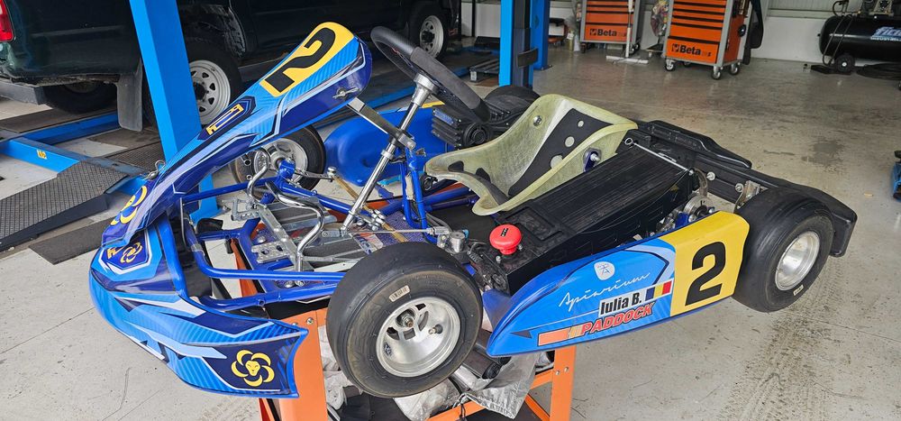 Kart Karting cart electric