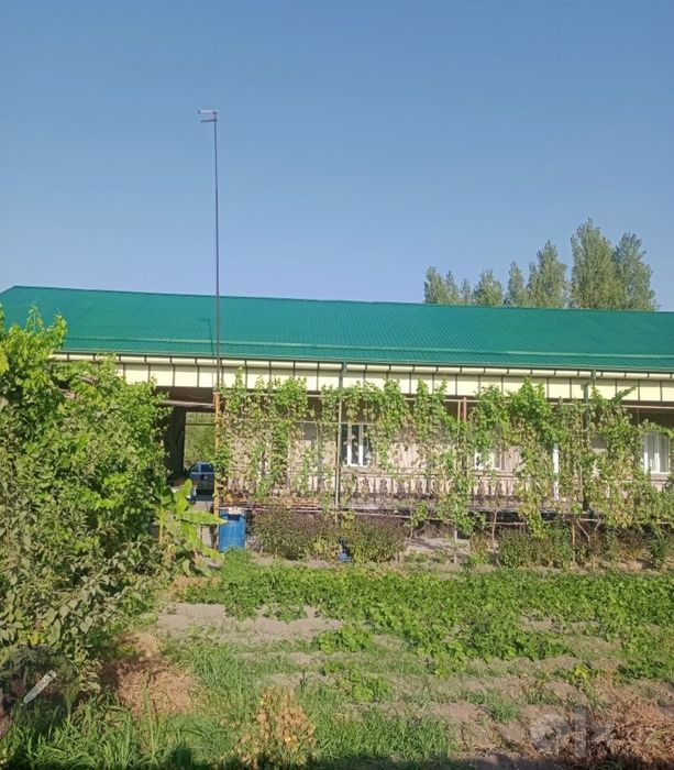 Tom kraska ustasi