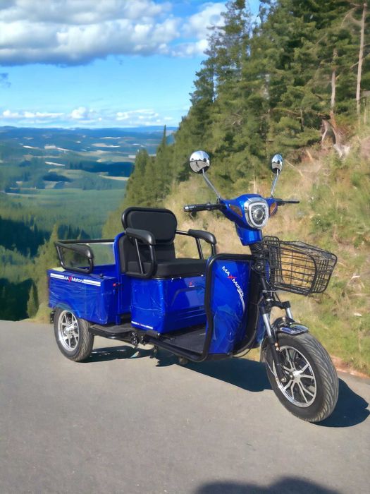 Електрическа Двуместна Триколка CARGO LUX 1500W - BLUE