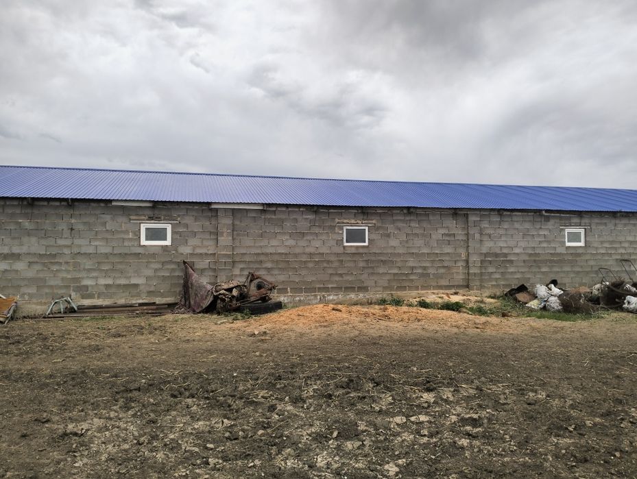 Продам дом в селе Ивановка