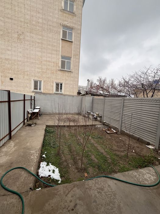 Kotej Sotiladi Narxi Kelishiladi