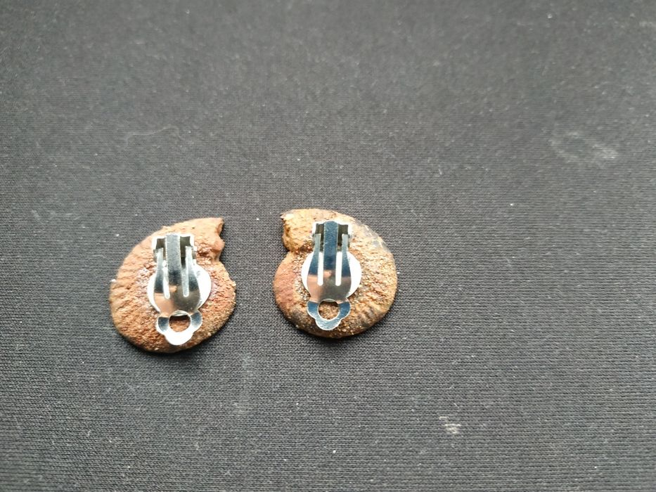 Обеци от амонити-фосили