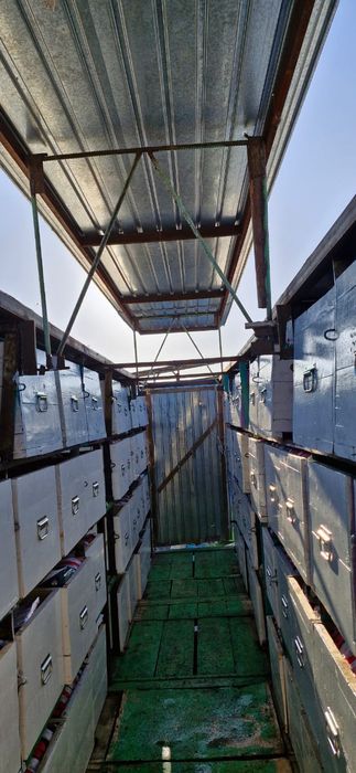 Пчелоповельён 9 метров