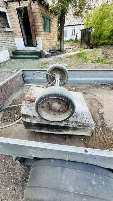 Тачка садовая вечная.