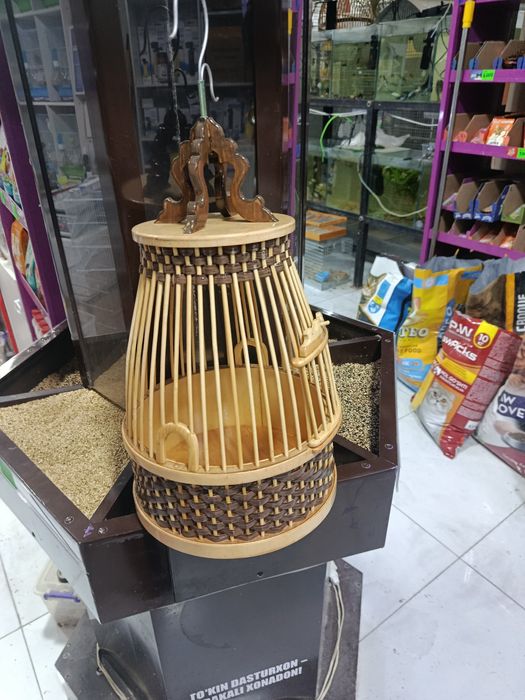 Италия бедона учун махсус капас