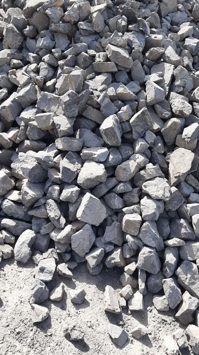 трусисыз әдемі жігіттер