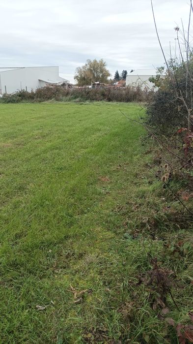 Дава се под наем Парцел в с. Пчелник, Област Варна - 850 кв.м за 15000 € - Снимка #5