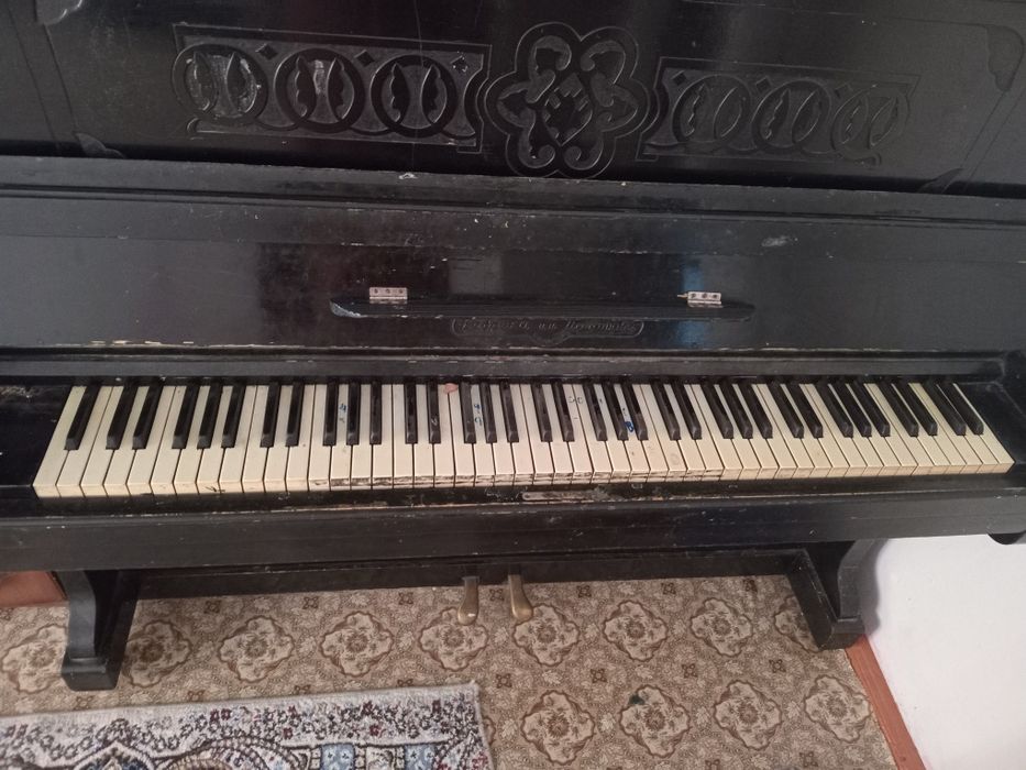 Пионино большой черный