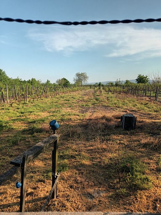 Vând teren intravilan+casă bătrânească