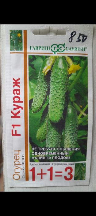 Продам дачный  двухьярусный, семейный лук ...