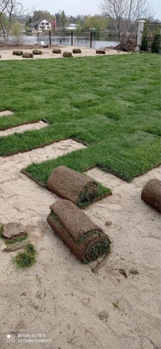 Gazon rulou natural calitate superioara