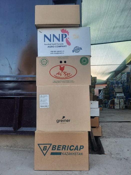 Коробки  в ассортименте Кириешки, Чипсы, Эфко, Банан, Б