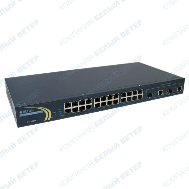 Комутатор Switch 24 ports Rubytech ES-2226C