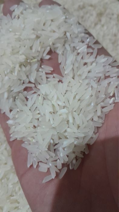 Рис Лазер Казахстан