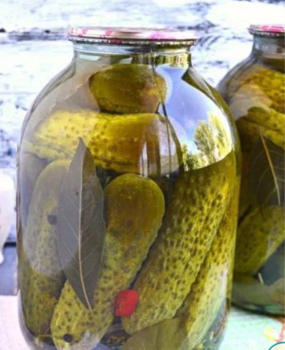 Солонина салаты икра кабачковая