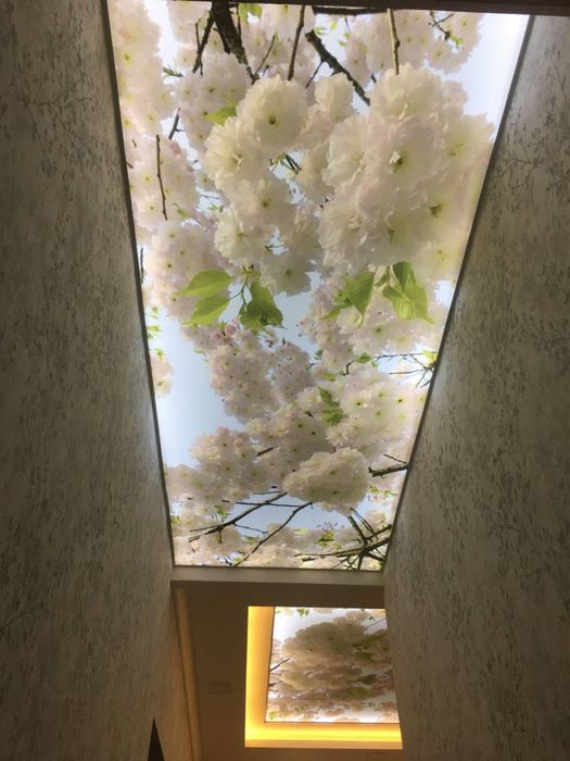 Natijnoy potolok / Натяжной потолок