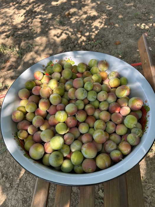 Продаем дачный дом