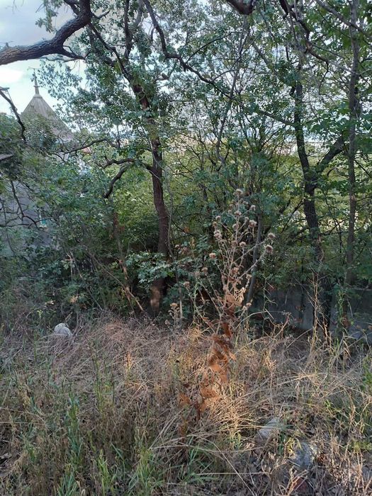 Продава се Парцел в Варна, м-т Евксиноград - 520 кв.м за 260 €/кв.м - Снимка #5