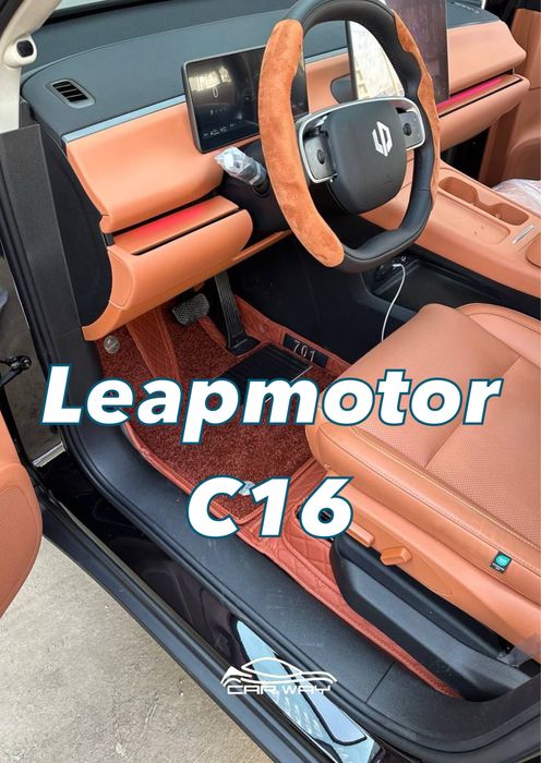 10D polik / коврики для Leapmotor C16