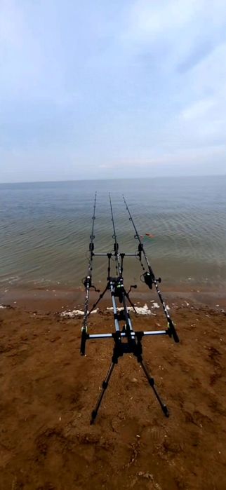 Карповое удилища набор