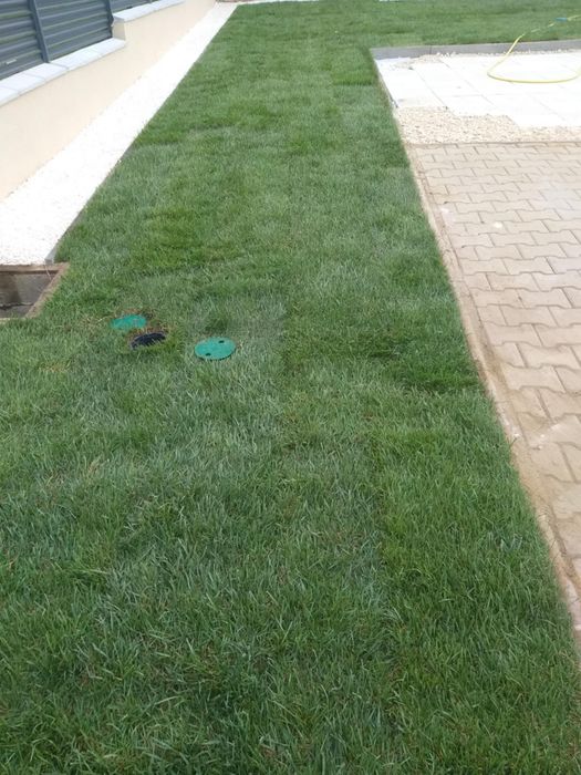 Gazon rulou și sistem de irigatii