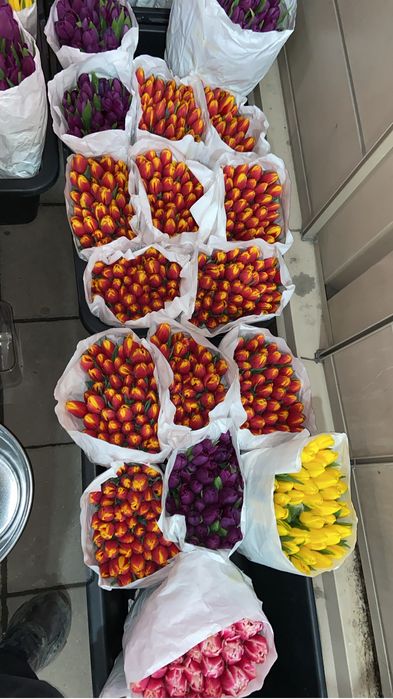 Тюльпаны Алматы 400тг