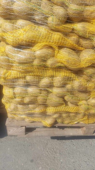 Cartofi/Polonia/Alb/Rosu/60+/SAC 10,15,20 kg/Orice Cantitate La Comandă/Calitate Extra Lux//SUNAȚI:0772248725//