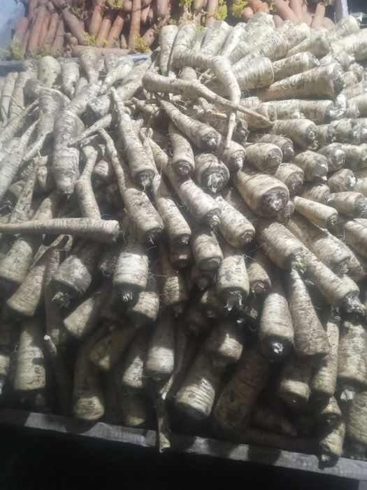 Vand morcovi, patrunjel si cartofi pt animale