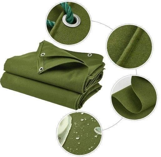 Tenttt polatkam optometrist