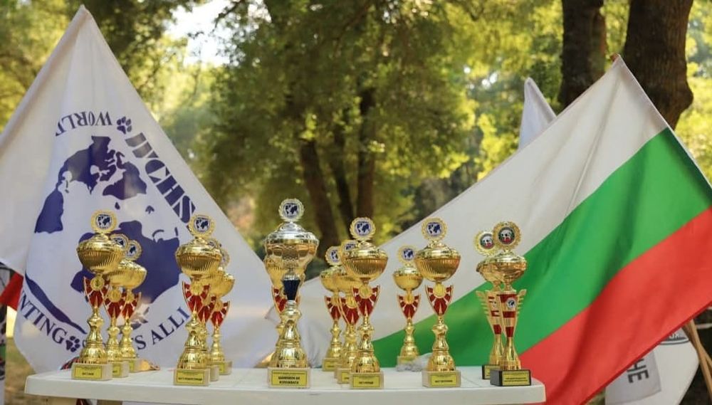 Тово купи и медали голям избор