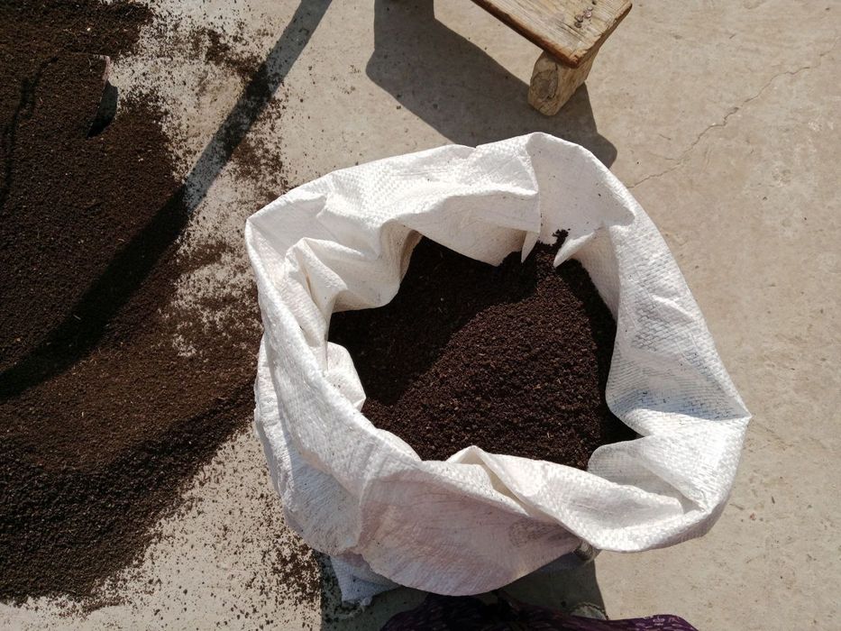 Biogomus tayyor elangan