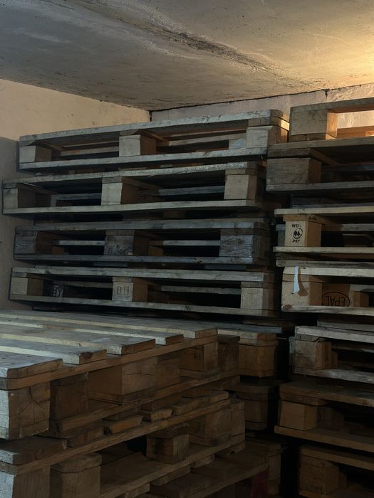 Продам поддоны в отличном состочни