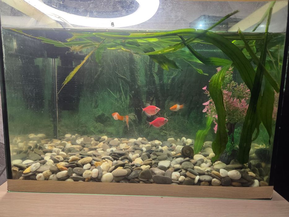 Продам аквариум б/у