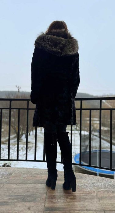 Nurca cu gluga vulpe argintie