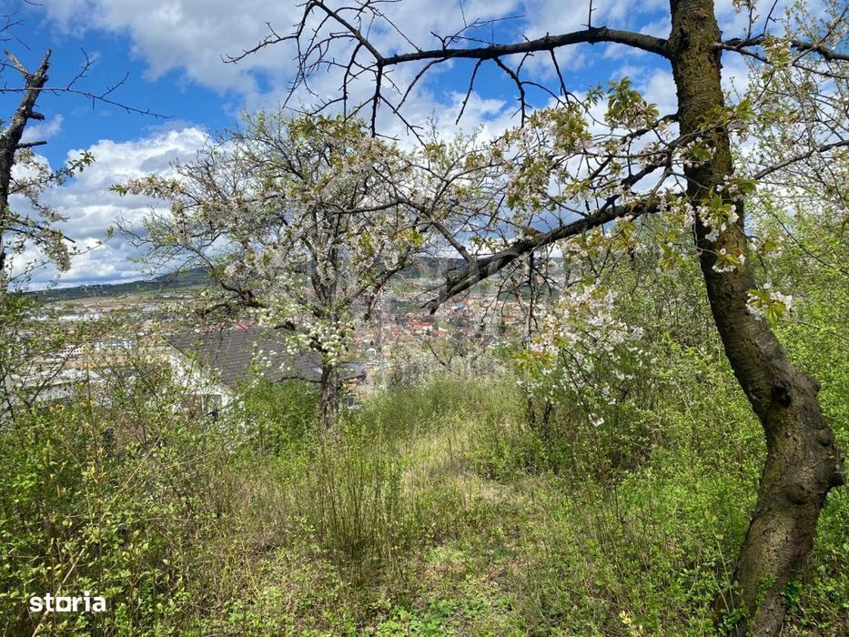 Teren intravilan pentru constructii de vanzare in Gruia, Cluj Napoca