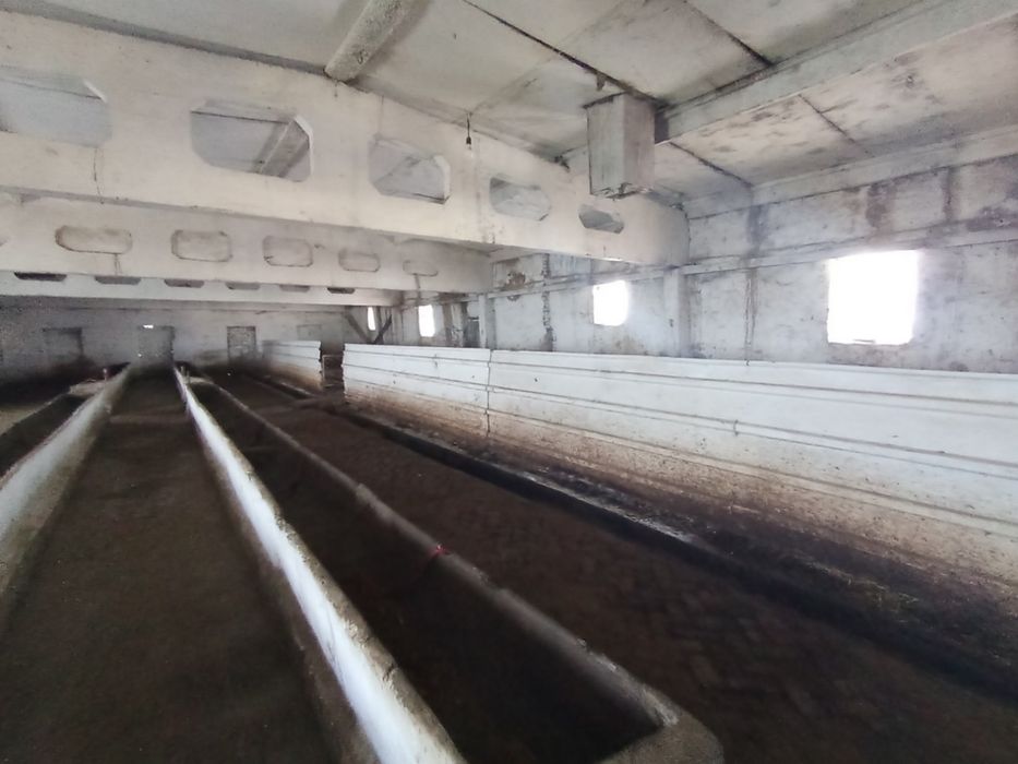 Чорвачилик бино иншоатлари