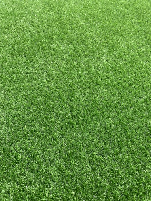 Искусственный газон