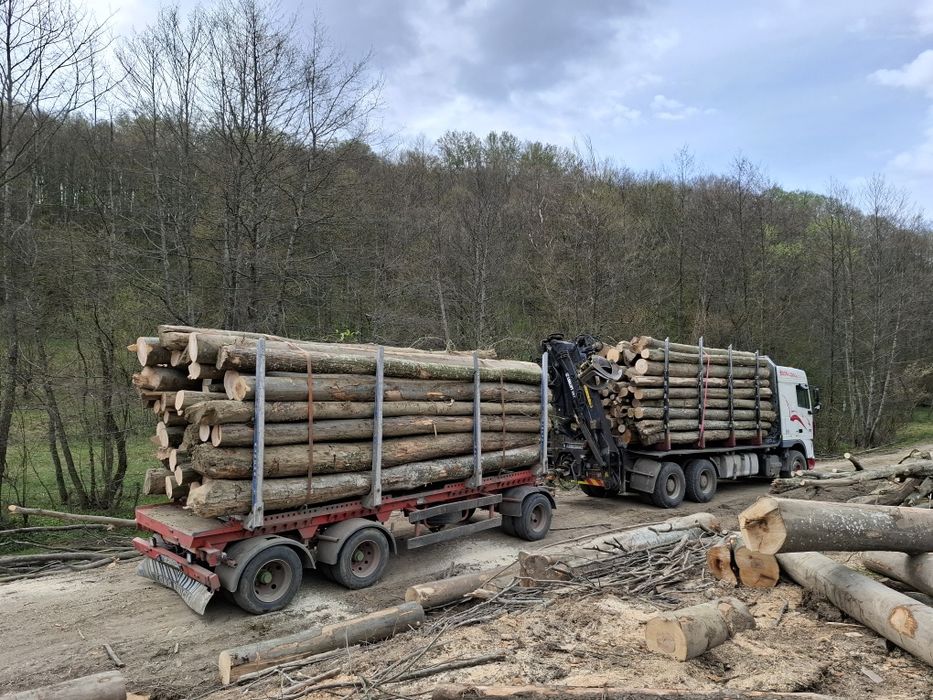 Lemn foc fag, transport inclus! Doar localitățile enumerate!tl