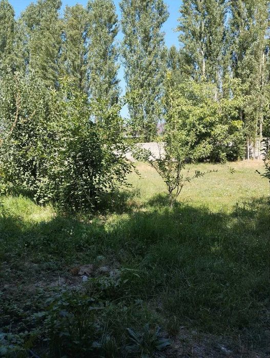 Дом, земля 12 соток Уччинор Болта