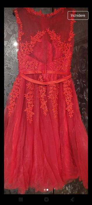 Rochita brodata manual