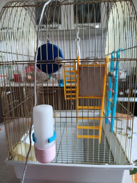 Клетка для попугаев