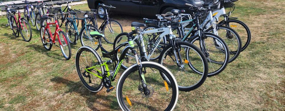 Biciclete normale