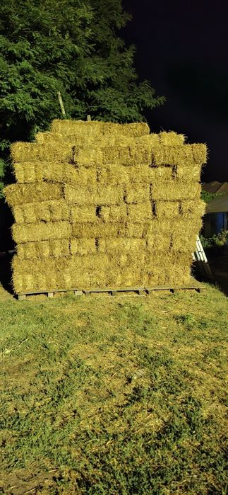 Baloti de paie din 2025