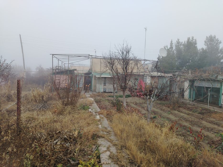 Дала ховли (дача)